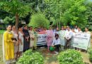 Principal, Staff & Students plant medicinal saplings at Govt State College of Education