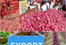 Withdraws Export Duty On Onion ਕੇਂਦਰ ਸਰਕਾਰ ਨੇ ਪਿਆਜ਼ ‘ਤੇ ਲਾਗੂ 20 ਪ੍ਰਤੀਸ਼ਤ ਨਿਰਯਾਤ ਡਿਊਟੀ ਖਤਮ ਕੀਤੀ – ਪਿਆਜ਼ ਦੇ ਭਾਅ ਤੇ ਕੀ ਹੋਵੇਗਾ ਅਸਰ 