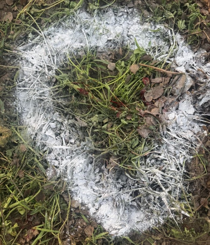 ਮੋਗਾ ਪੁਲਿਸ ਵੱਲੋਂ ਦਵਿੰਦਰ ਬੰਬੀਹਾ ਗੈਂਗ ਦਾ ਦੋਸ਼ੀ ਕਾਬੂ,32 ਬੋਰ ਪਿਸਟਲ ਬਰਾਮਦ