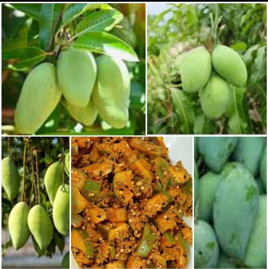 ਬੜਾ ਚੇਤੇ ਆਉਂਦਾ ਨਾਨੀ ਦਾਦੀ ਦੇ ਹੱਥ ਦਾ ਅੰਬ ਦਾ ਆਚਾਰ, ਆਓ ਸਿੱਖੀਏ ਸੌਖਾ ਤਰੀਕਾ ਇਹ ਆਚਾਰ ਪਾਉਣ ਦਾ…