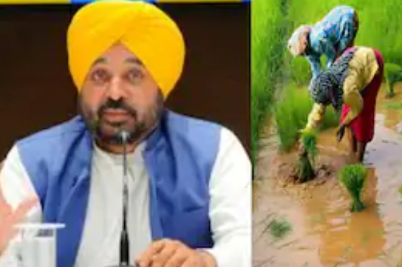 ਝੋਨੇ ਦੀ ਬਿਜਾਈ ਲਈ ਪੰਜਾਬ 4 ਜ਼ੋਨਾਂ ‘ਚ ਵੰਡਿਆ, 8 ਘੰਟੇ ਬਿਜਲੀ ਸਪਲਾਈ ਦਾ ਐਲਾਨ