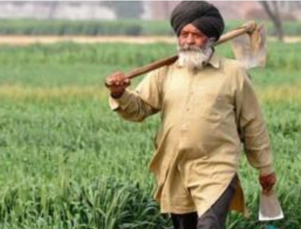 ਕਿਸਾਨਾਂ ਲਈ ਵੱਡੀ ਰਾਹਤ! ₹5,086 ਕਰੋੜ ਦੀ ਕਰਜ਼ਾ ਮੁਆਫ਼ੀ ਰਕਮ 6.36 ਲੱਖ ਖਾਤਿਆਂ ’ਚ ਟਰਾਂਸਫਰ